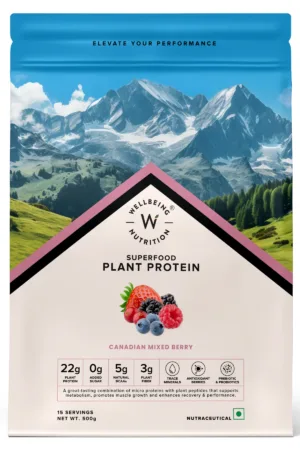 Wellbeing Nutrition| Vegan Protein 22g |3B CFU Probiotics | Canadian Mixed Berry