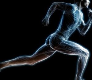 Coursera | Science of Exercise